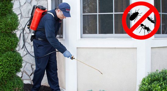 Doğanyol Akrep İlaçlama böcek ilaçlama ve haşere kontrolü — ilaclama-tr.com